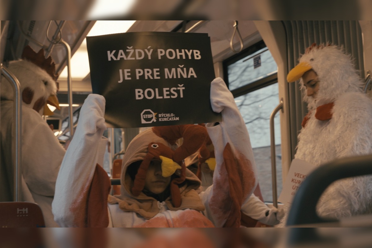 FOTO: Bratislavčanov v rannej električke prekvapili kurčatá, foto 4