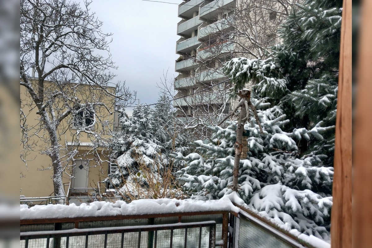 FOTO: Na Bratislavu spadol tohtoročný prvý sneh, foto 27