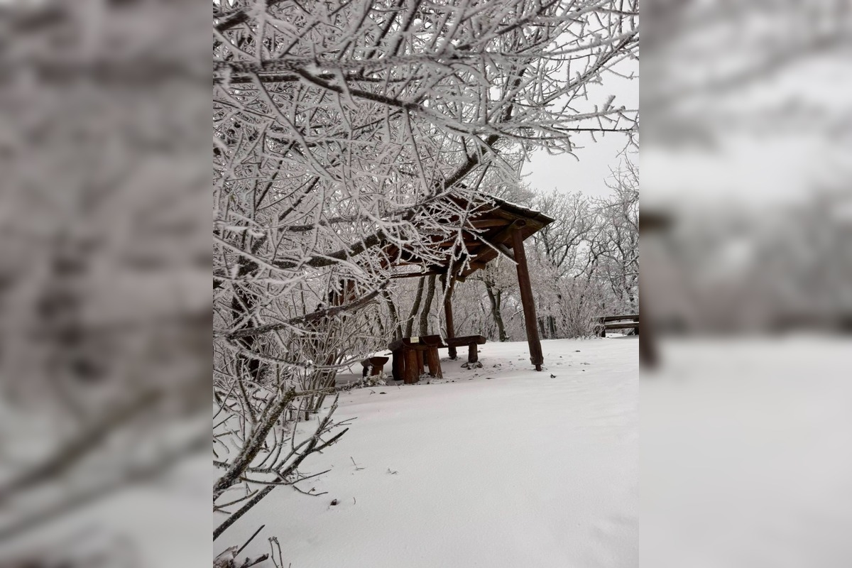 FOTO: Na Bratislavu spadol tohtoročný prvý sneh, foto 28