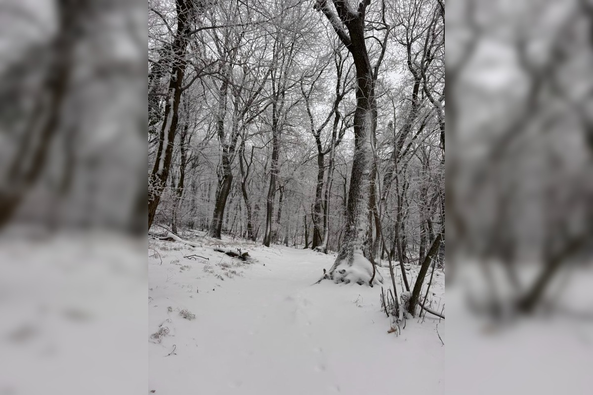 FOTO: Na Bratislavu spadol tohtoročný prvý sneh, foto 29