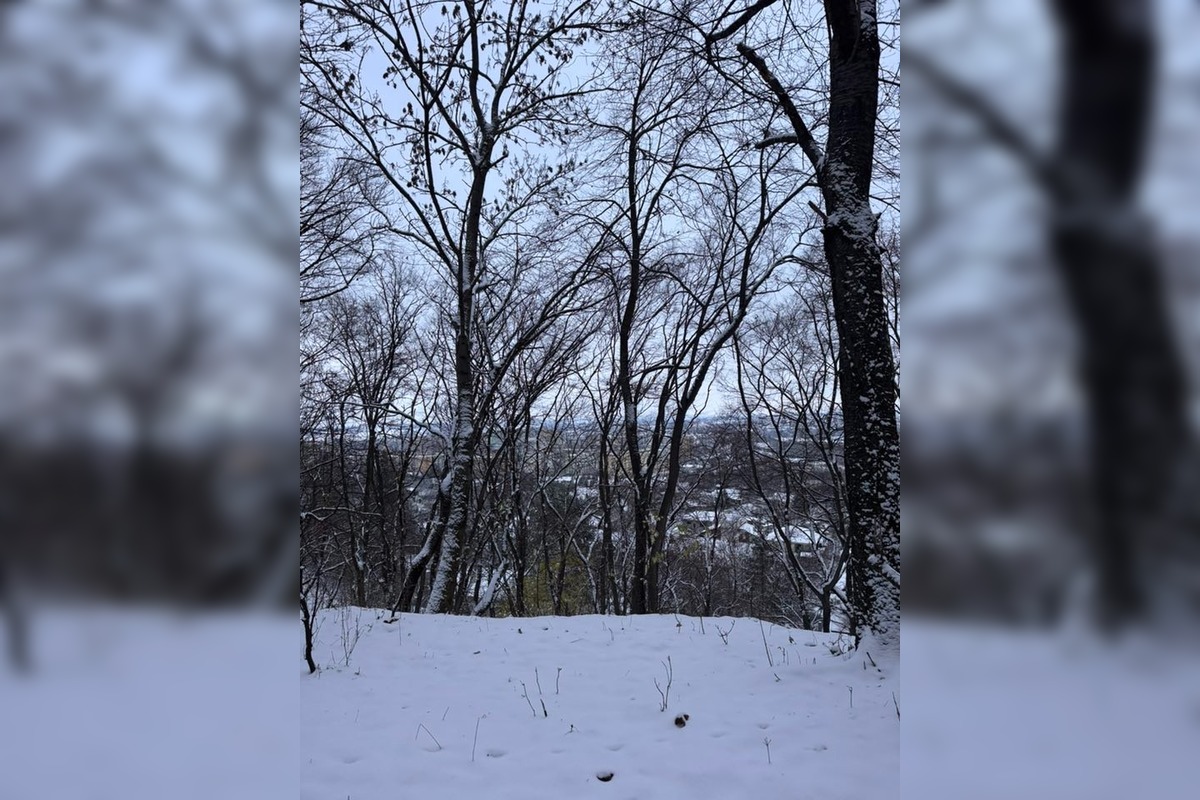 FOTO: Na Bratislavu spadol tohtoročný prvý sneh, foto 30