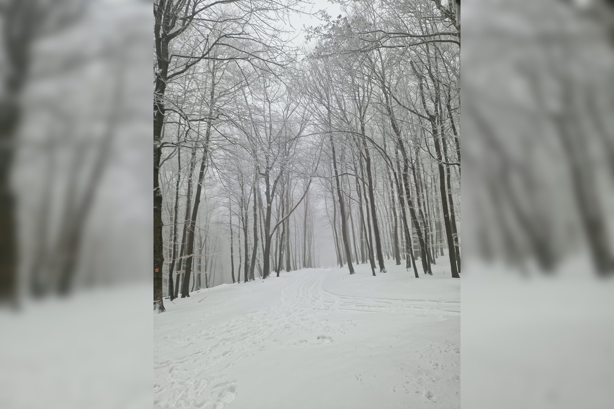 FOTO: Bežecký areál strediska Pezinská Baba už možno využiť na bežkovanie, foto 1