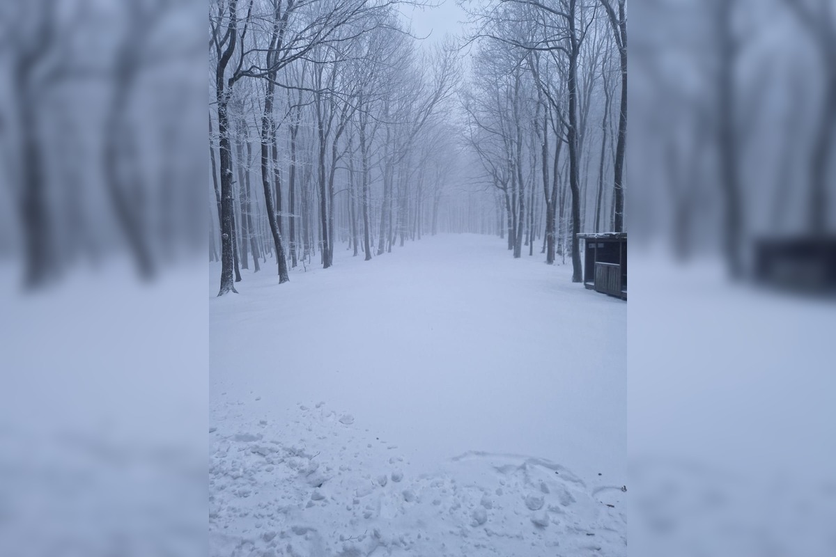 FOTO: Bežecký areál strediska Pezinská Baba už možno využiť na bežkovanie, foto 2
