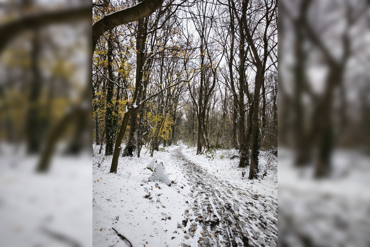 FOTO: V Petržalke sa tešia prvej snehovej nádielke, foto 2