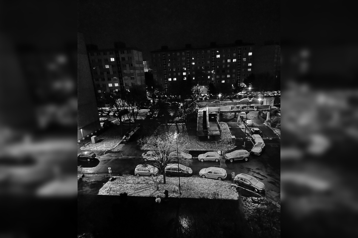 FOTO: V Petržalke sa tešia prvej snehovej nádielke, foto 7