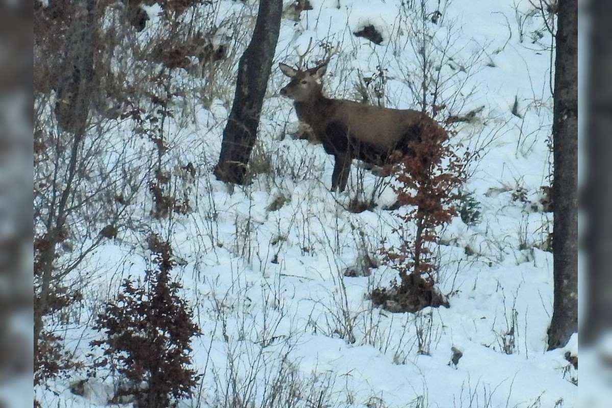 FOTO: Slováci zdieľajú zimné turistické skvosty, foto 15