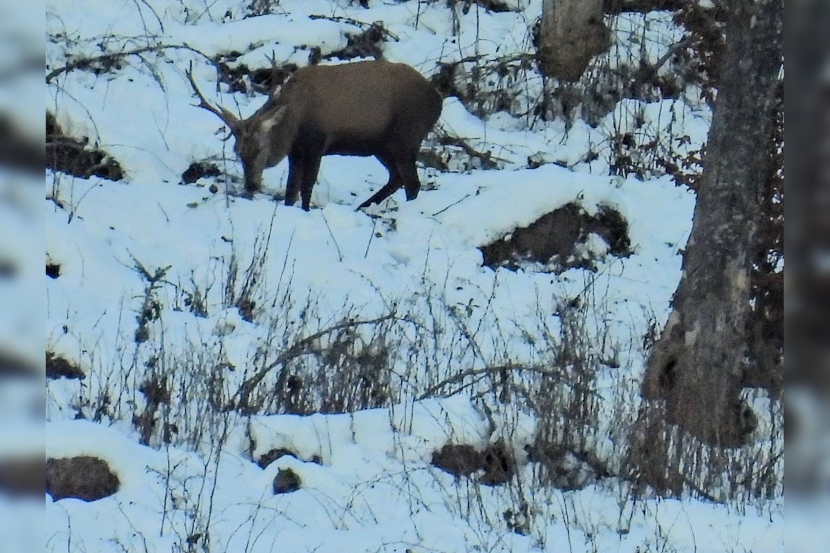FOTO: Slováci zdieľajú zimné turistické skvosty, foto 16