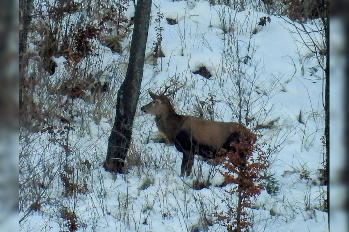 FOTO: Slováci zdieľajú zimné turistické skvosty, foto 17