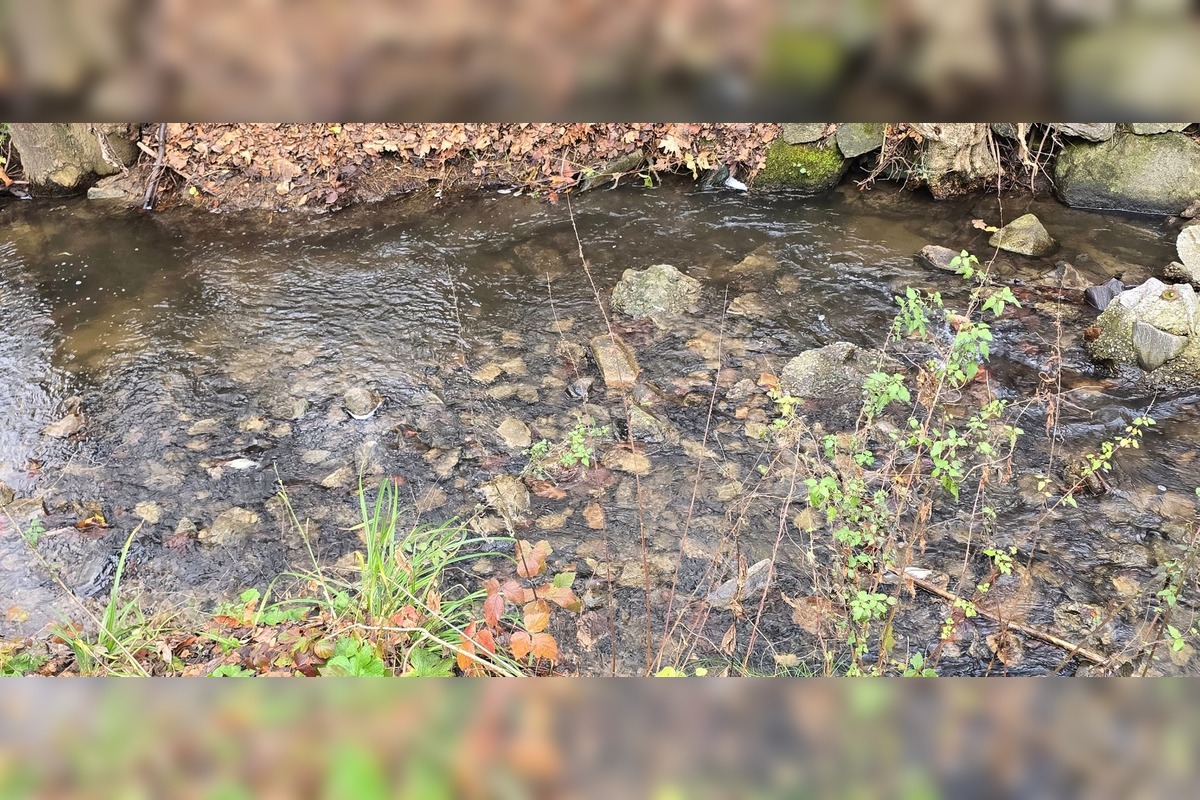 FOTO: Úhyn rýb na Železnej studničke, foto 3