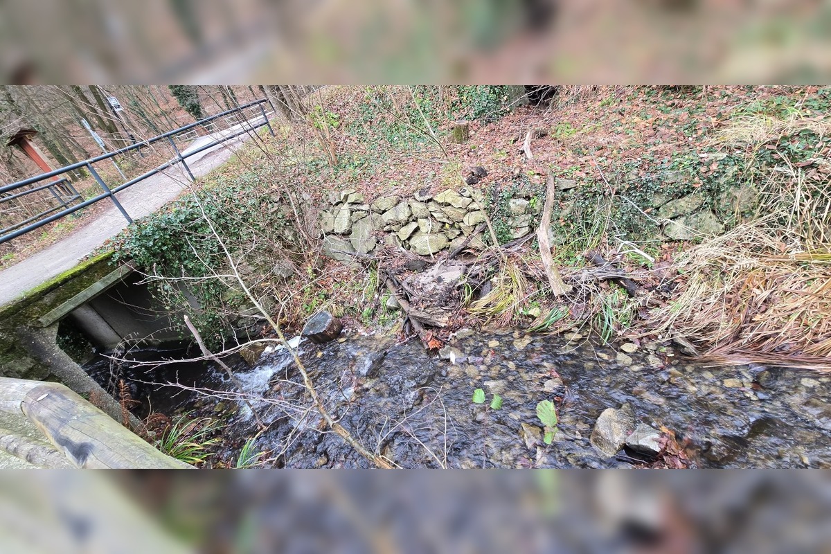 FOTO: Úhyn rýb na Železnej studničke, foto 7