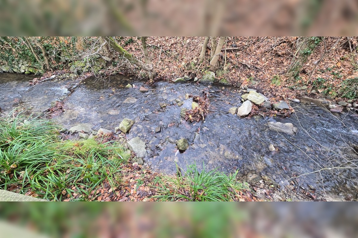 FOTO: Úhyn rýb na Železnej studničke, foto 9