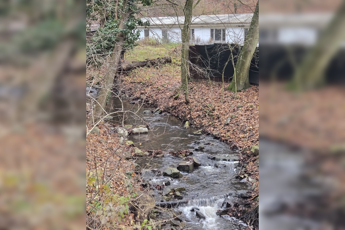 FOTO: Úhyn rýb na Železnej studničke, foto 10