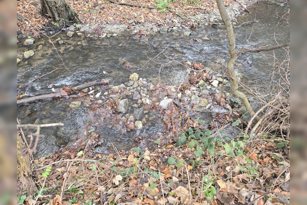 FOTO: Úhyn rýb na Železnej studničke, foto 12