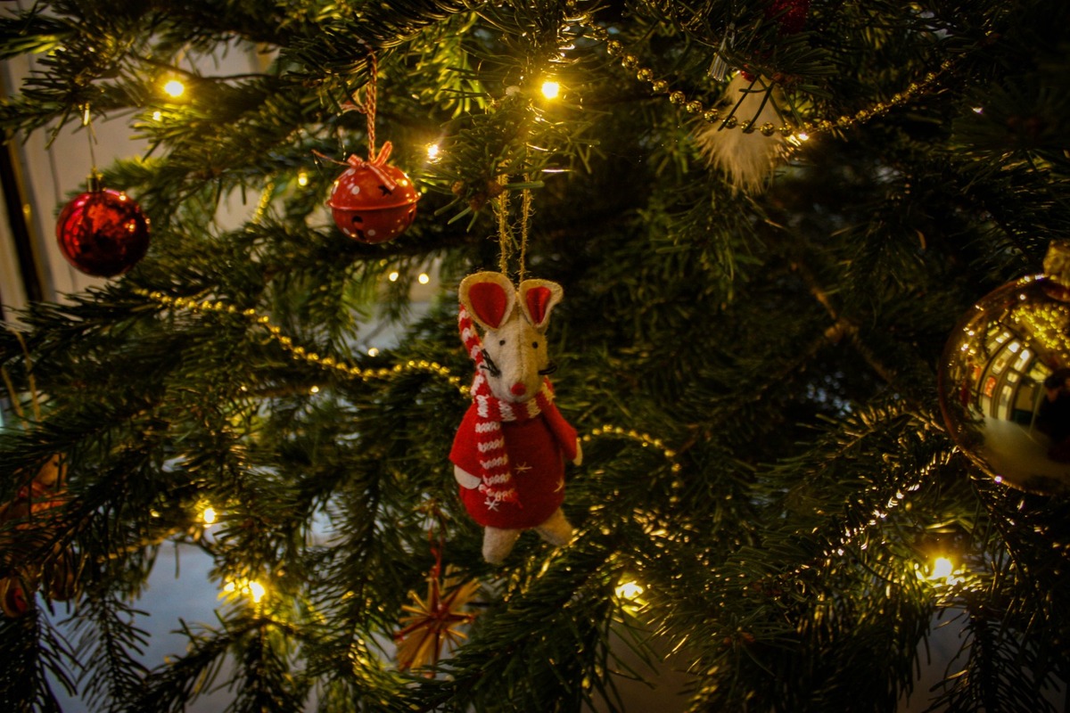 FOTO: Vianočná električka v Bratislave 2025, foto 25