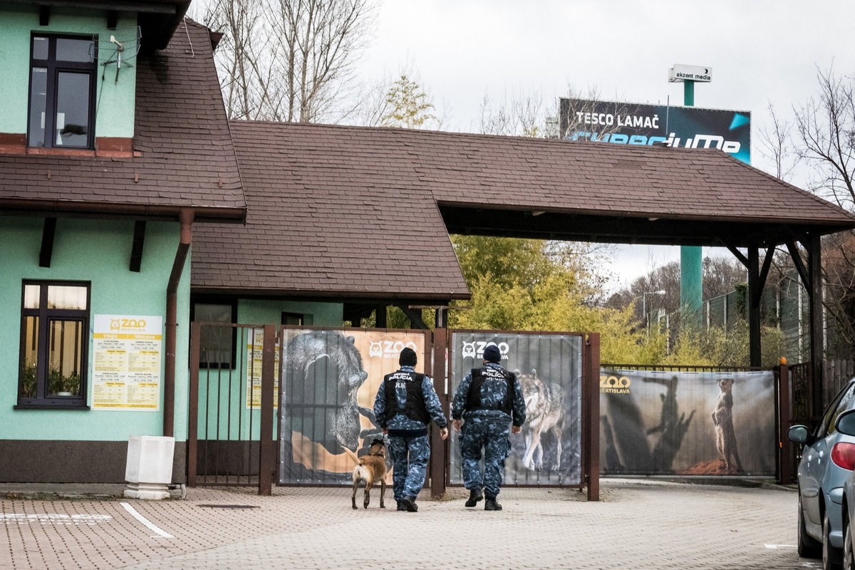 FOTO: Mestská polícia počas Silvestra posilní hliadky, foto 4