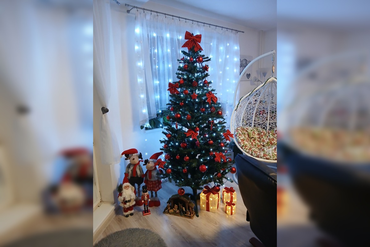 FOTO: Vianočné stromčeky Bratislavčanov, foto 3