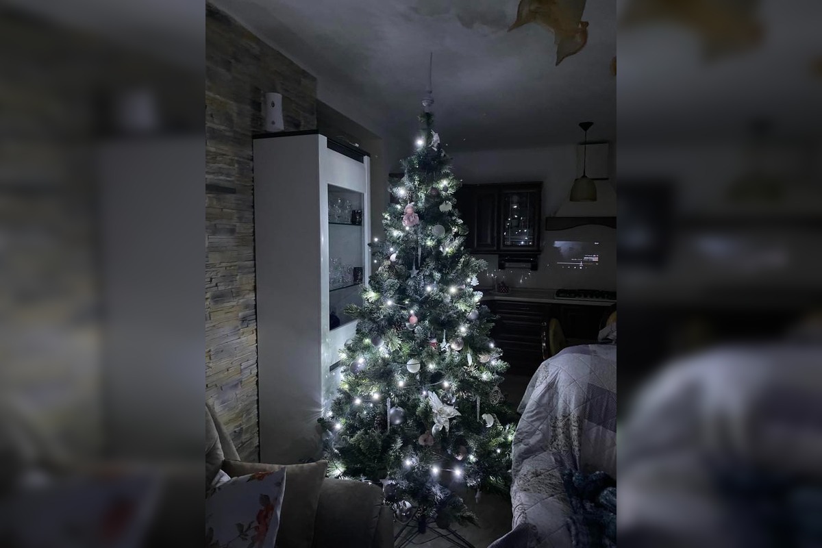 FOTO: Vianočné stromčeky Bratislavčanov, foto 6