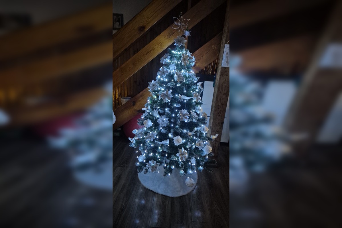 FOTO: Vianočné stromčeky Bratislavčanov, foto 9