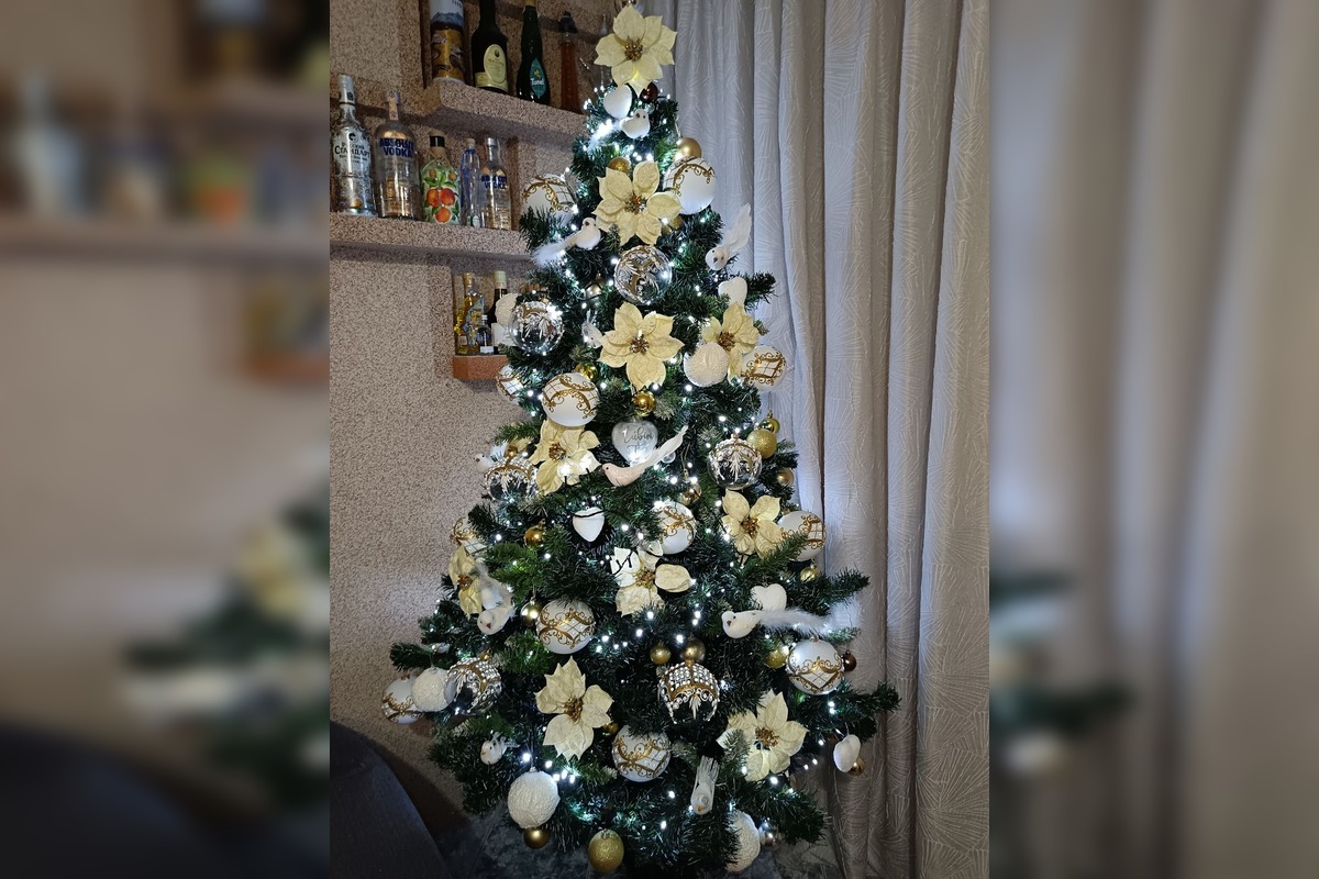 FOTO: Vianočné stromčeky Bratislavčanov, foto 10