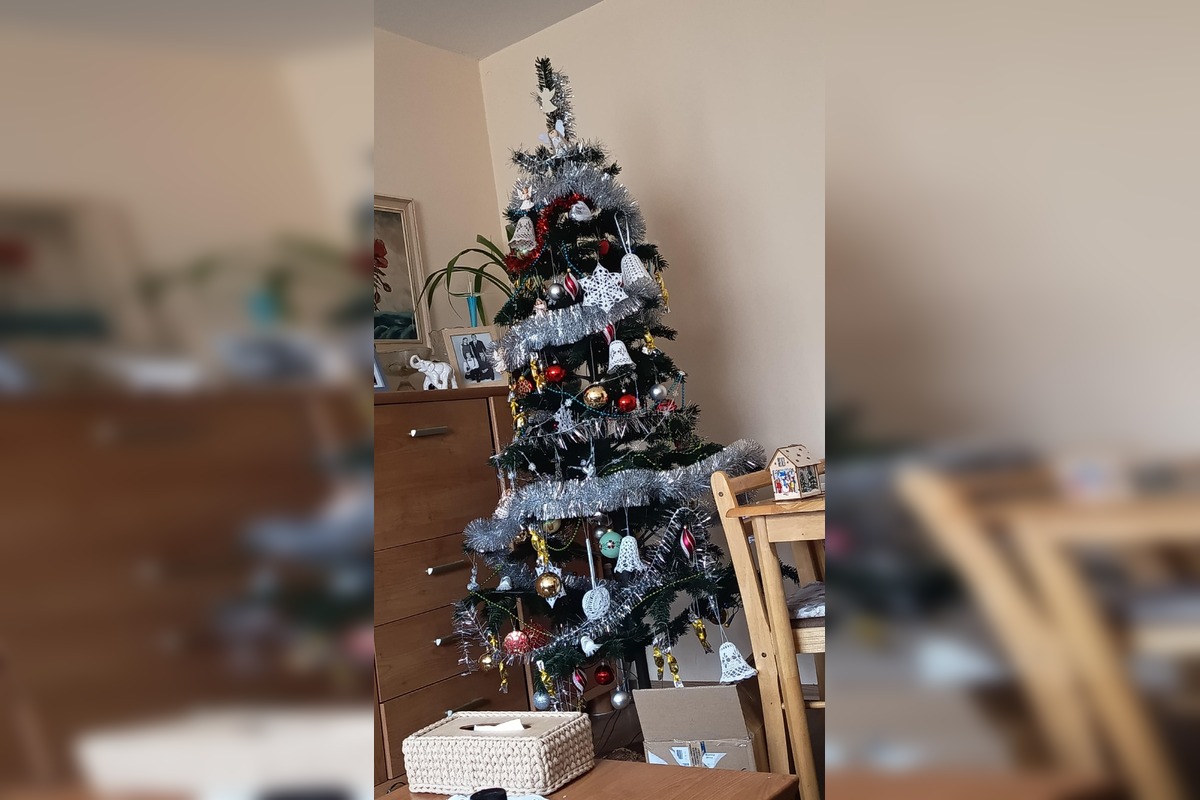 FOTO: Vianočné stromčeky Bratislavčanov, foto 11