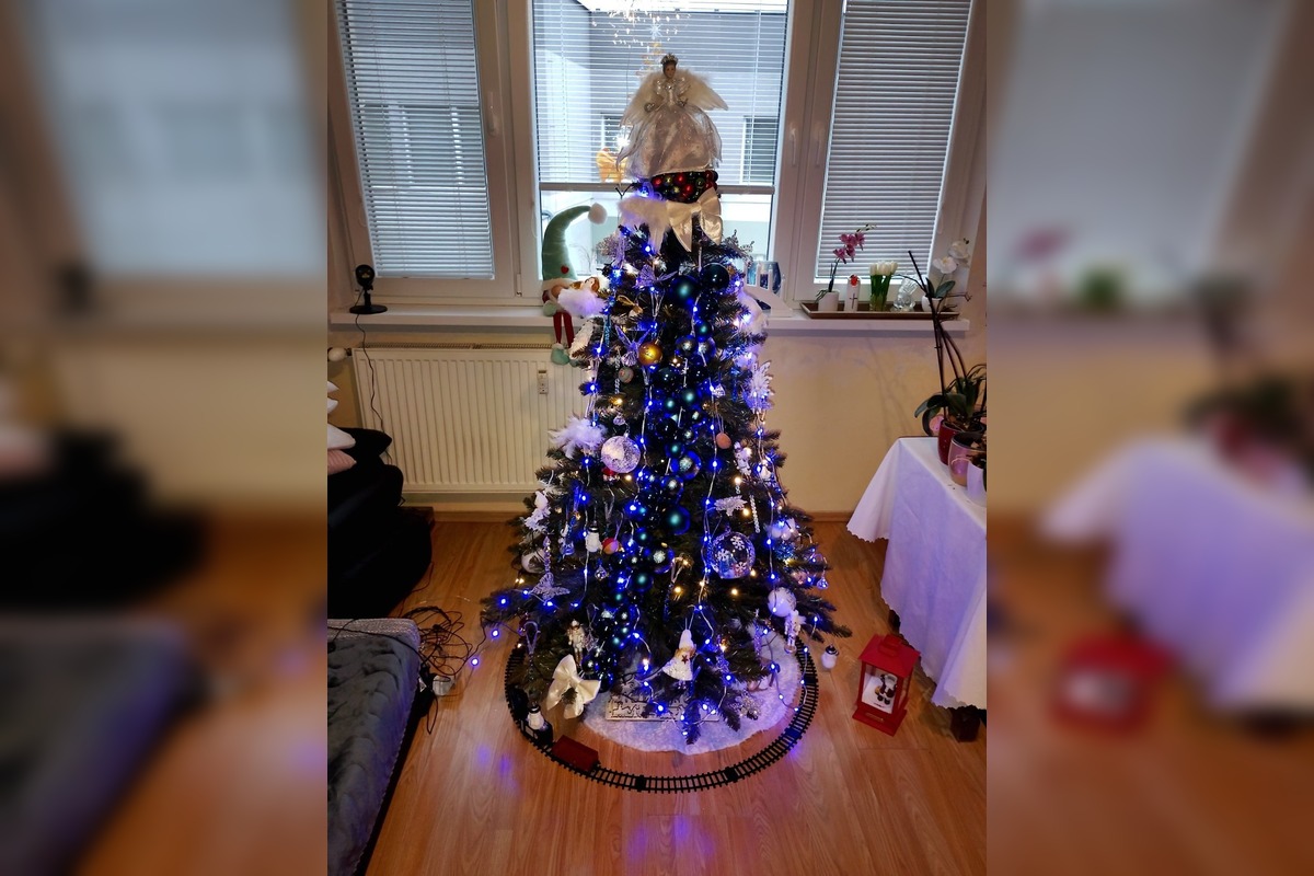 FOTO: Vianočné stromčeky Bratislavčanov, foto 12