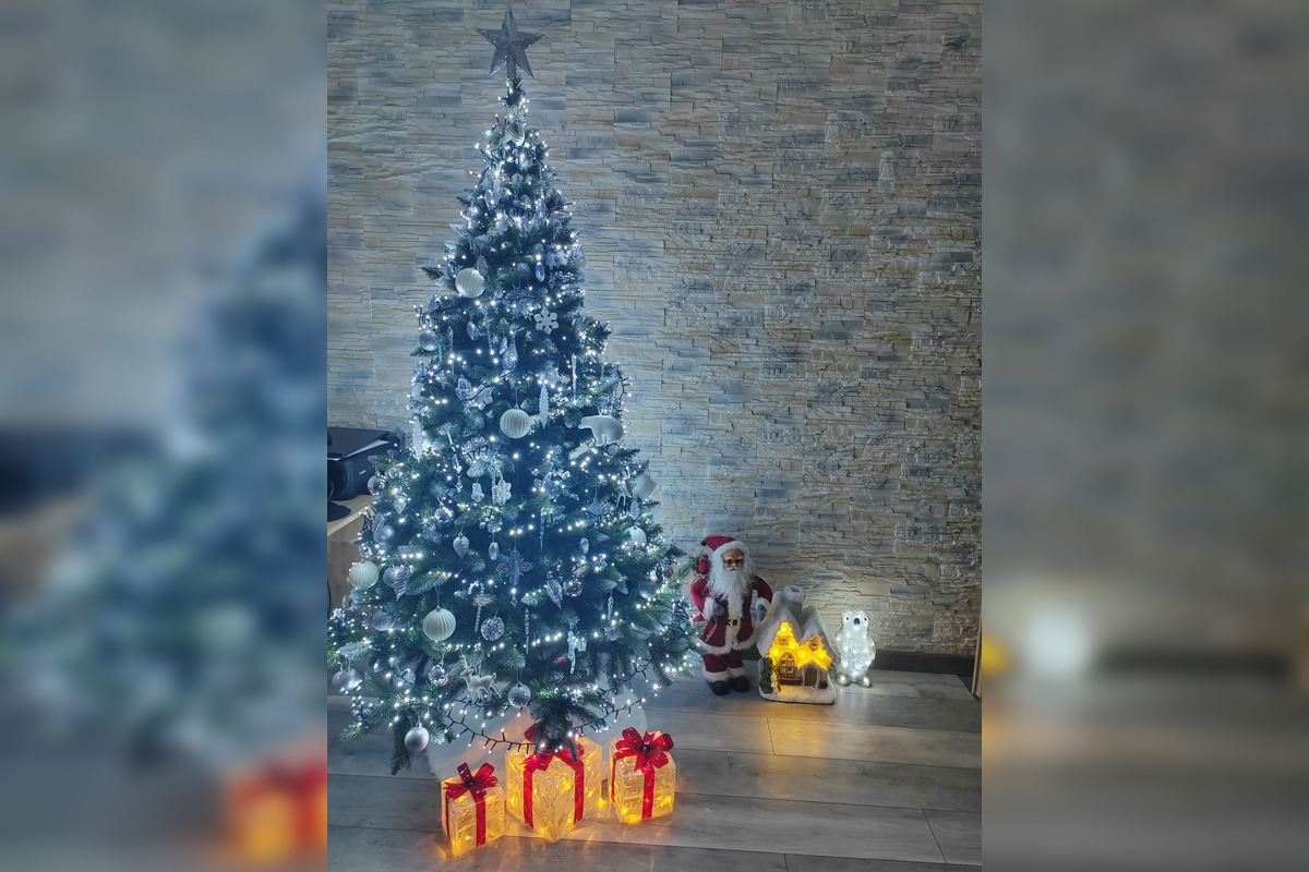 FOTO: Vianočné stromčeky Bratislavčanov, foto 13