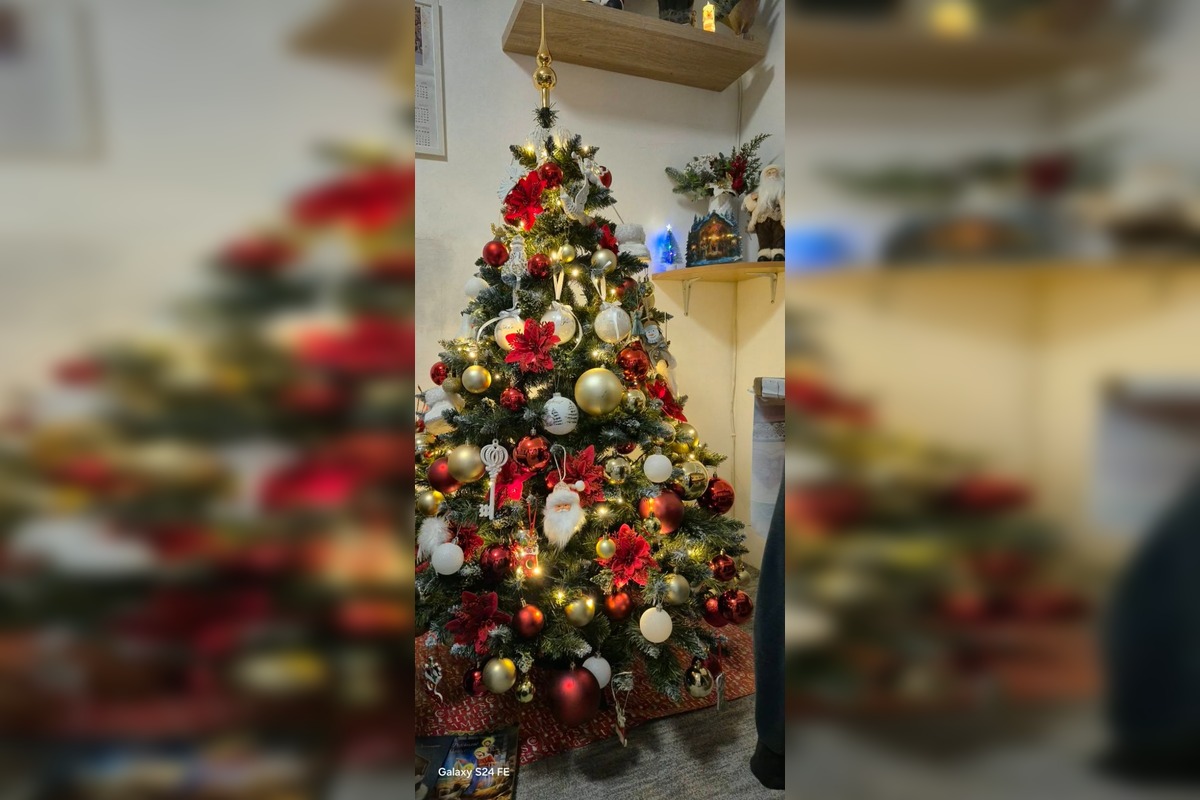 FOTO: Vianočné stromčeky Bratislavčanov, foto 14