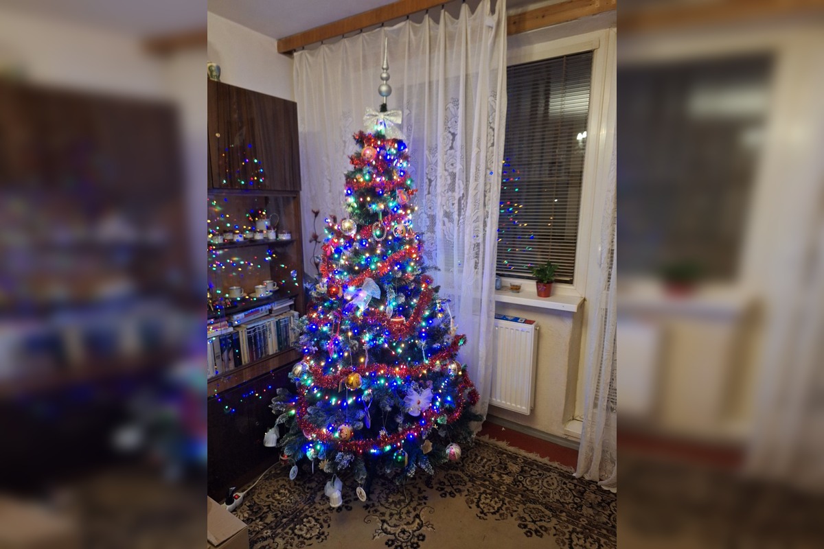 FOTO: Vianočné stromčeky Bratislavčanov, foto 15