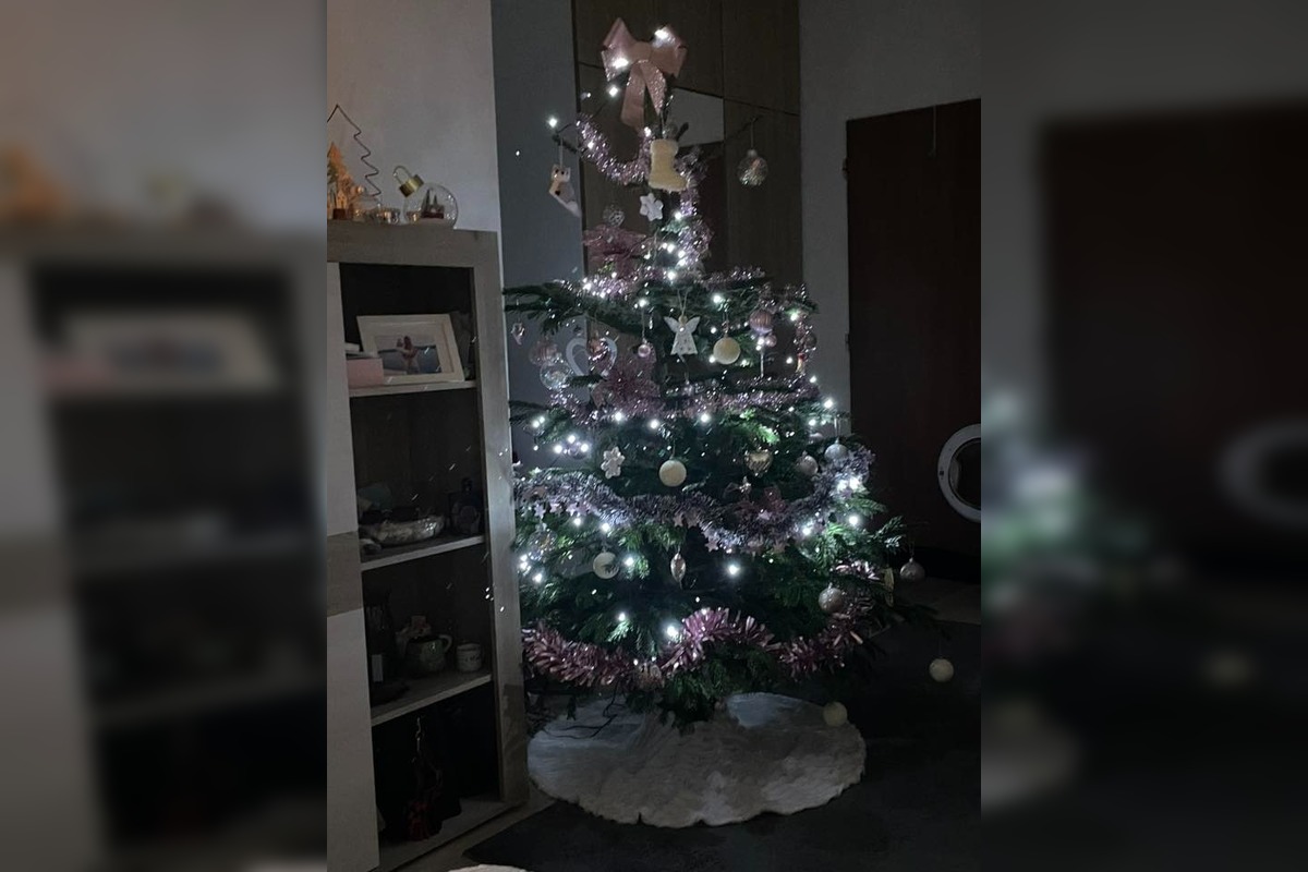 FOTO: Vianočné stromčeky Bratislavčanov, foto 16