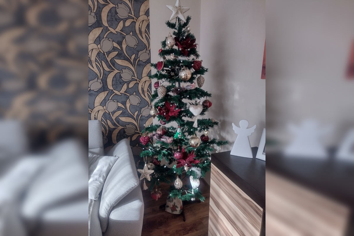 FOTO: Vianočné stromčeky Bratislavčanov, foto 17