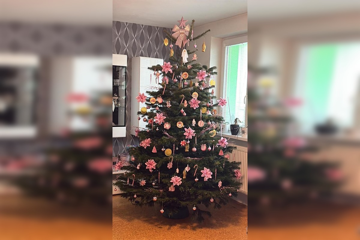 FOTO: Vianočné stromčeky Bratislavčanov, foto 19