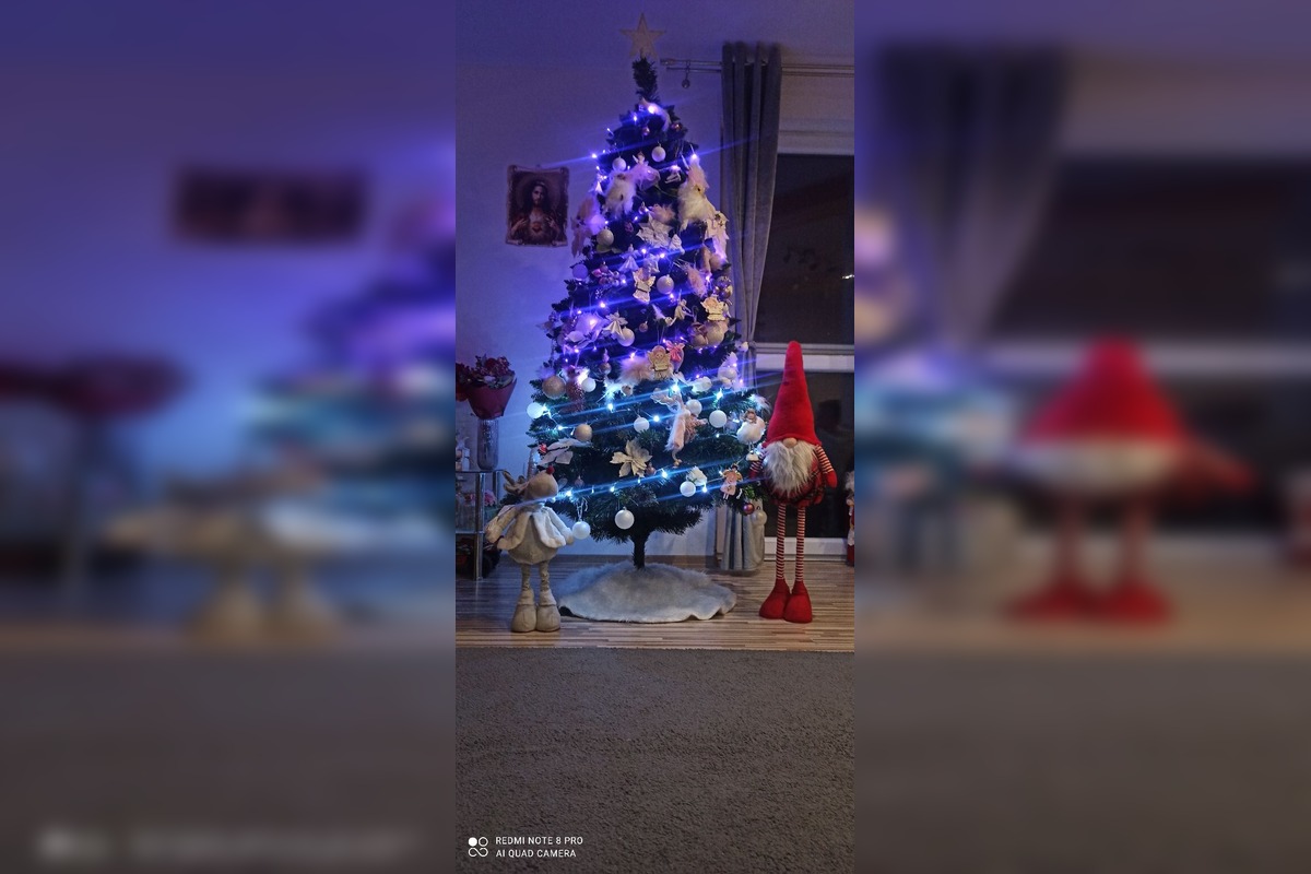 FOTO: Vianočné stromčeky Bratislavčanov, foto 20