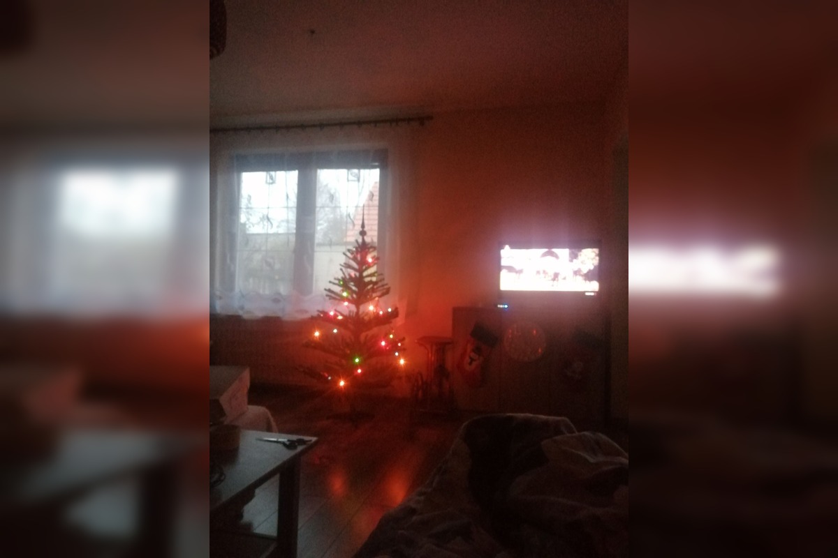 FOTO: Vianočné stromčeky Bratislavčanov, foto 21