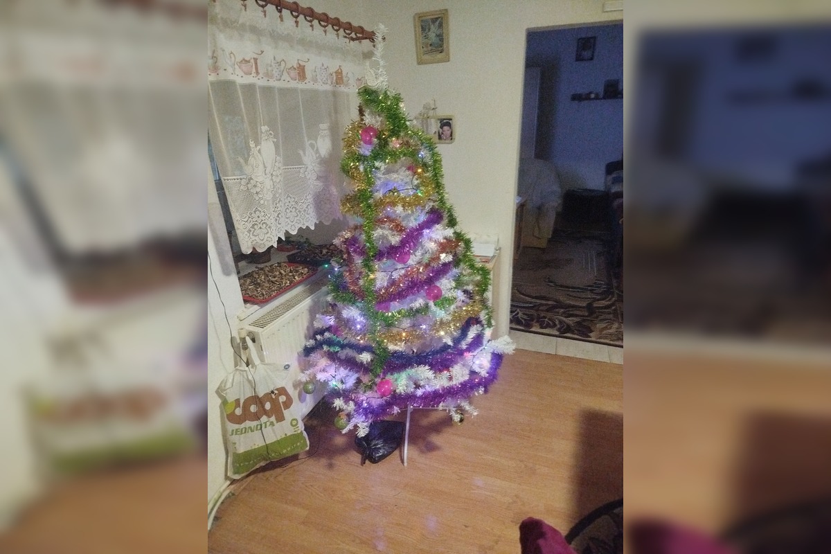 FOTO: Vianočné stromčeky Bratislavčanov, foto 23