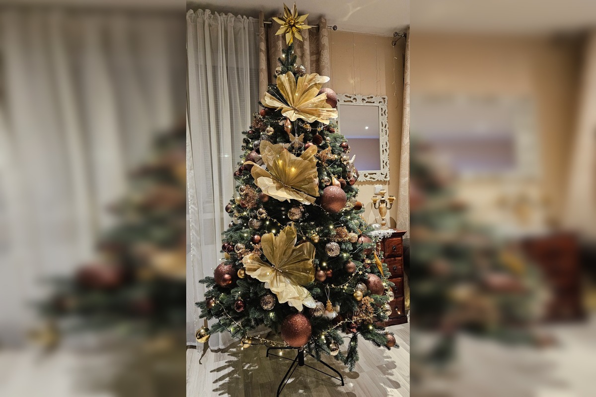 FOTO: Vianočné stromčeky Bratislavčanov, foto 25