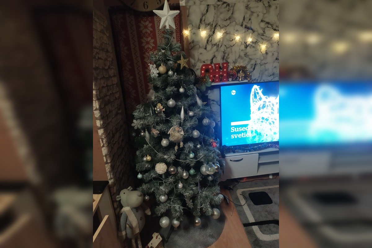 FOTO: Vianočné stromčeky Bratislavčanov, foto 26