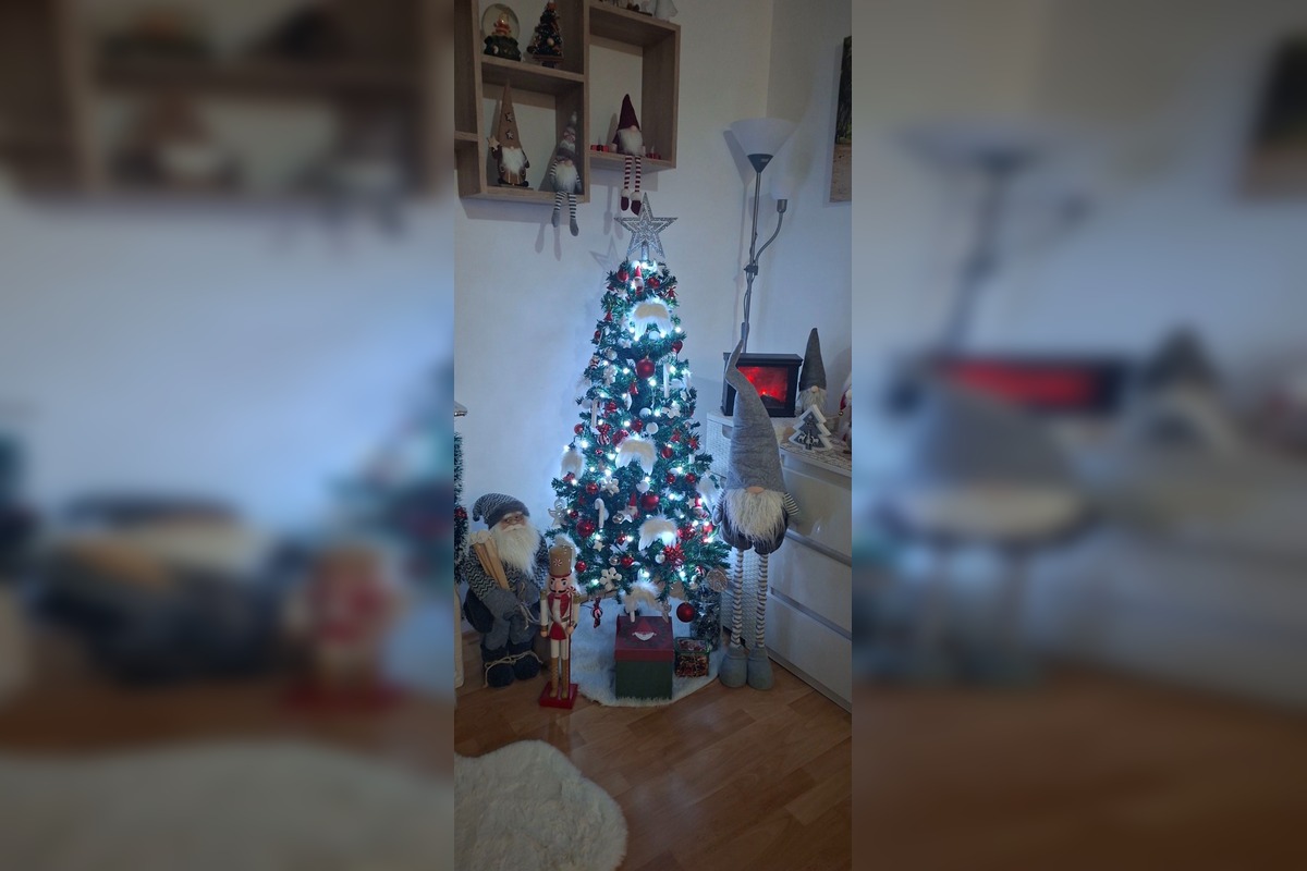 FOTO: Vianočné stromčeky Bratislavčanov, foto 27