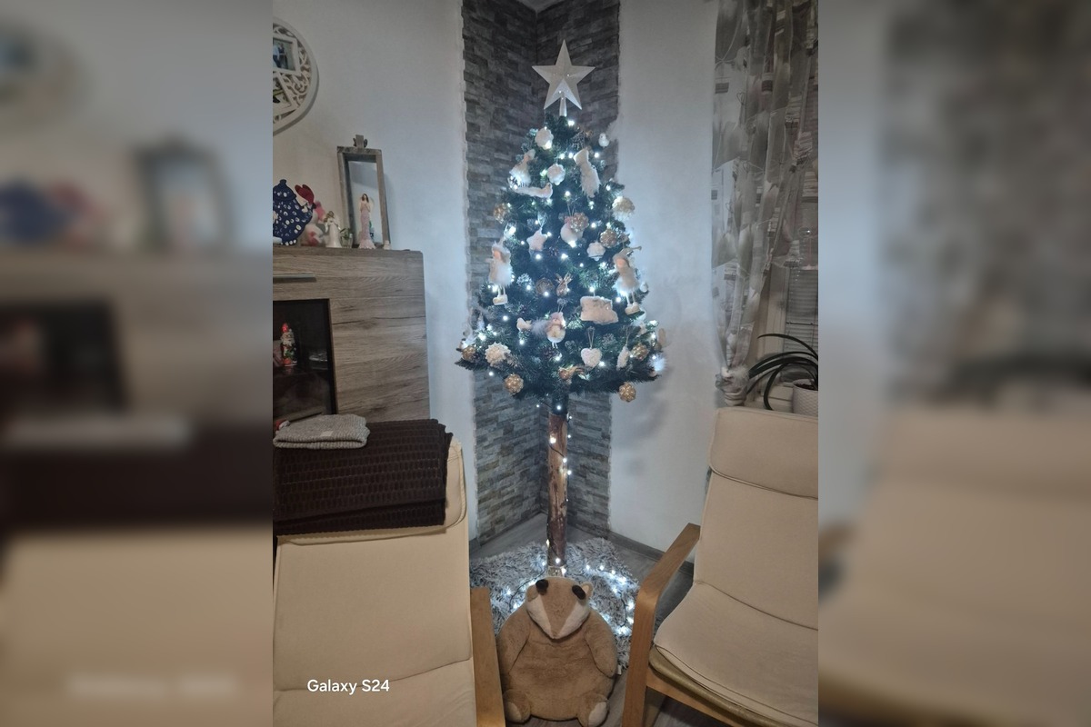 FOTO: Vianočné stromčeky Bratislavčanov, foto 28