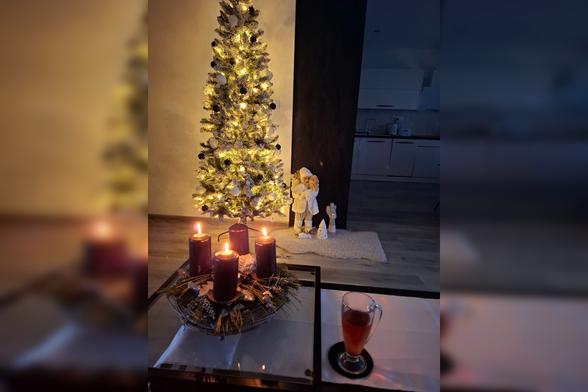 FOTO: Vianočné stromčeky Bratislavčanov, foto 29