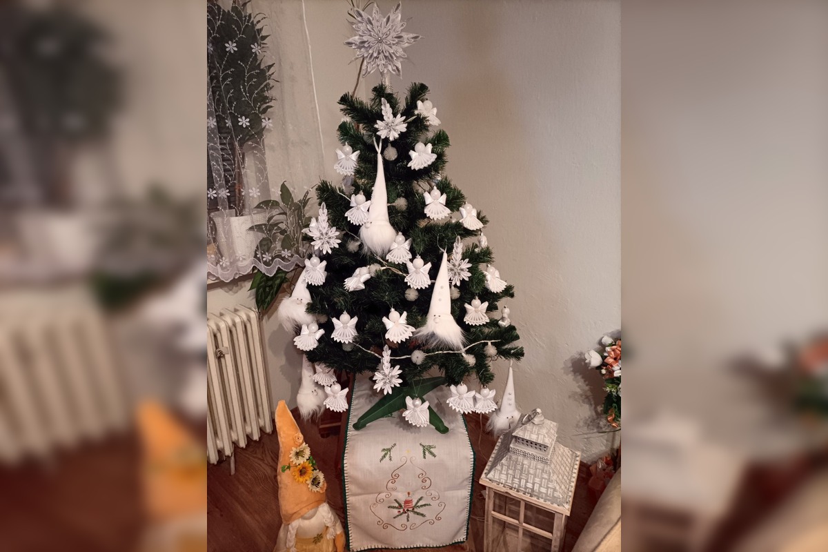 FOTO: Vianočné stromčeky Bratislavčanov, foto 30