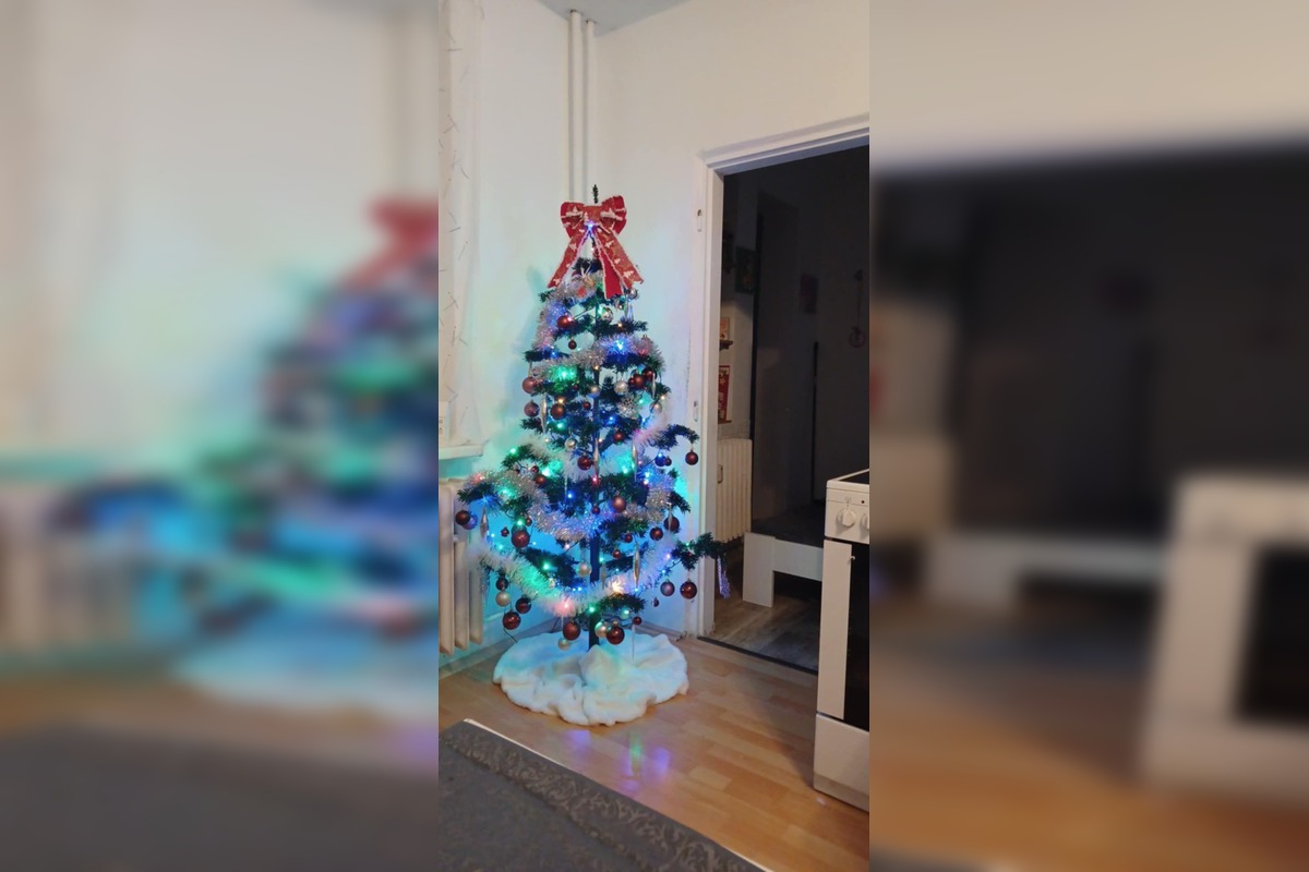 FOTO: Vianočné stromčeky Bratislavčanov, foto 31