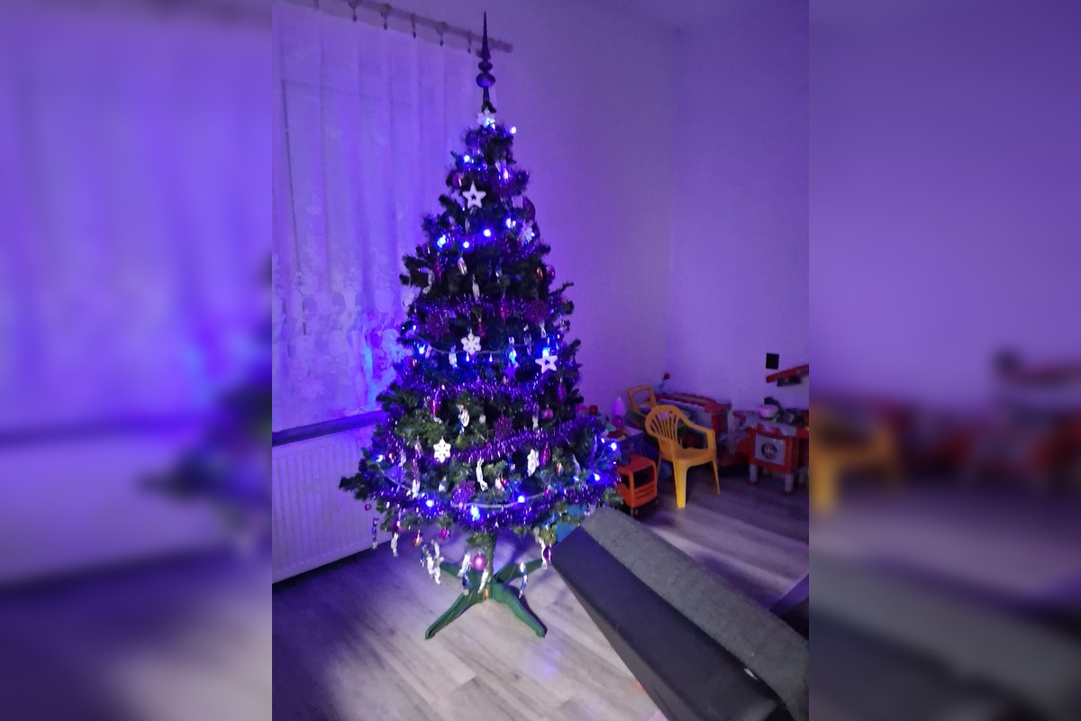 FOTO: Vianočné stromčeky Bratislavčanov, foto 33