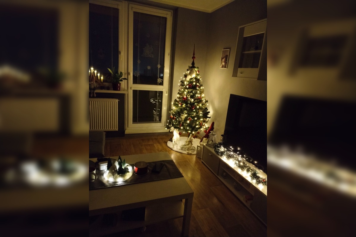 FOTO: Vianočné stromčeky Bratislavčanov, foto 35