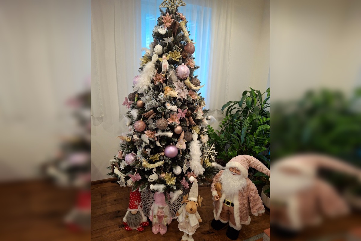 FOTO: Vianočné stromčeky Bratislavčanov, foto 36