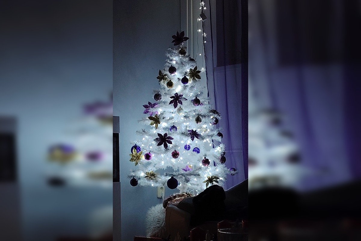 FOTO: Vianočné stromčeky Bratislavčanov, foto 37