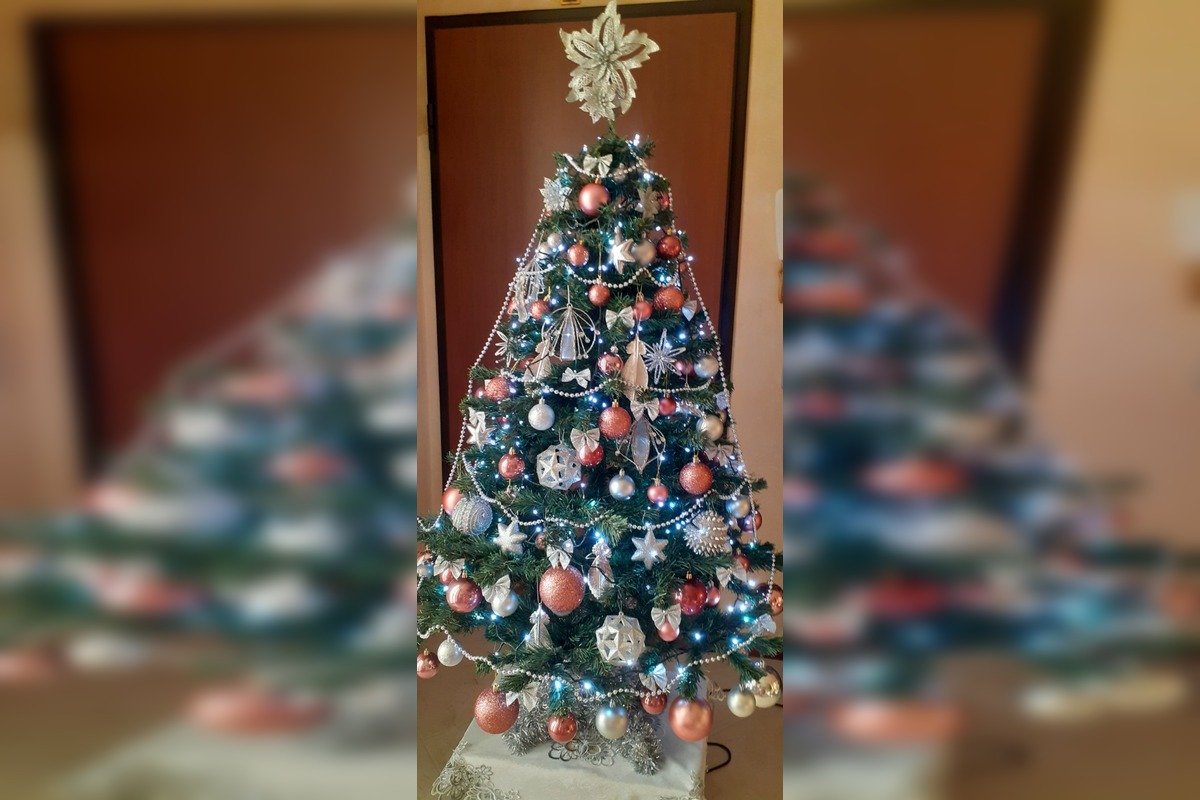 FOTO: Vianočné stromčeky Bratislavčanov, foto 38