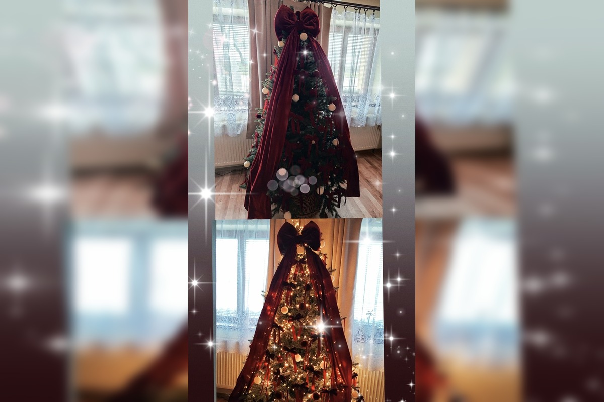 FOTO: Vianočné stromčeky Bratislavčanov, foto 39