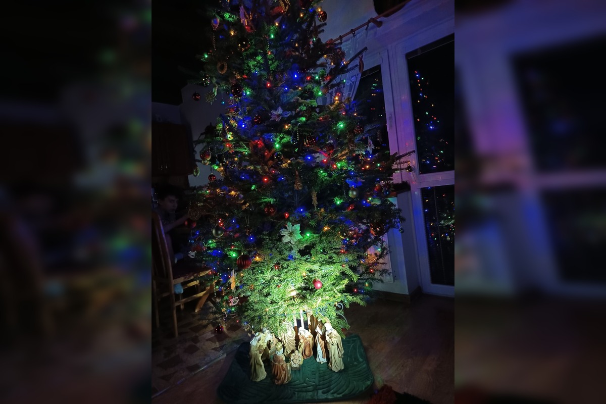 FOTO: Vianočné stromčeky Bratislavčanov, foto 40