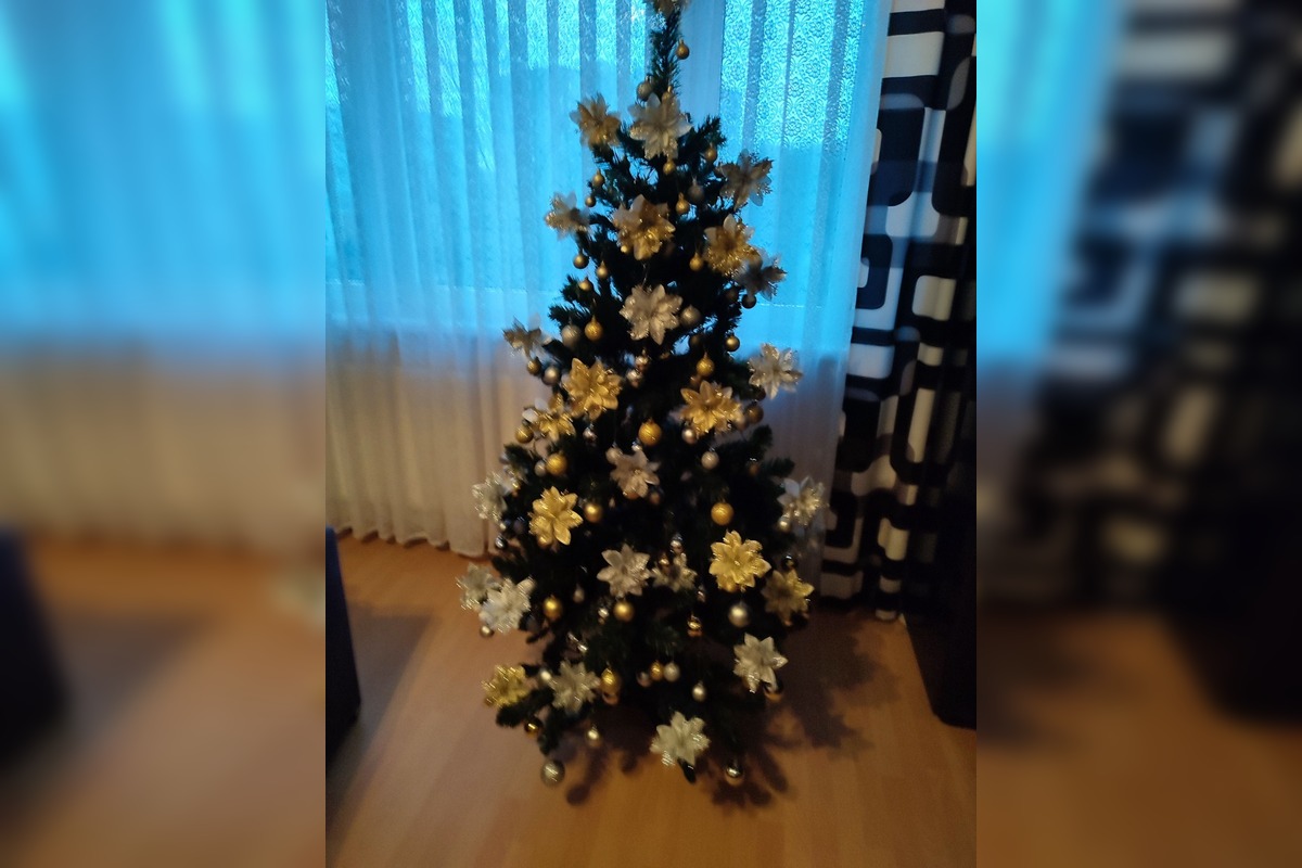 FOTO: Vianočné stromčeky Bratislavčanov, foto 41