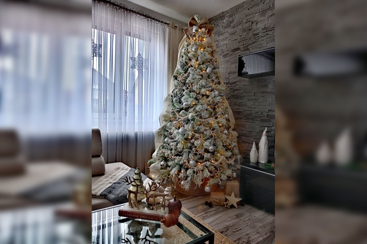 FOTO: Vianočné stromčeky Bratislavčanov, foto 42